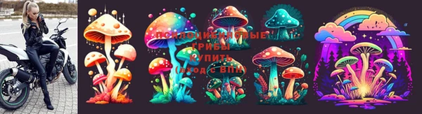 хмурый Волосово