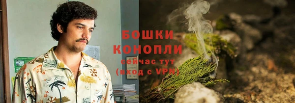 спиды Бородино