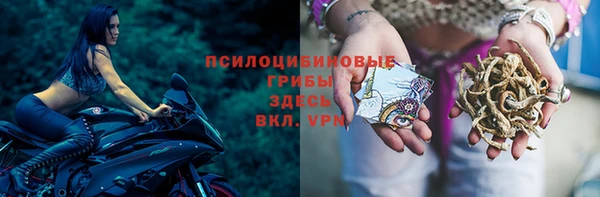 спиды Бородино