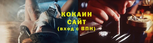 спиды Бородино