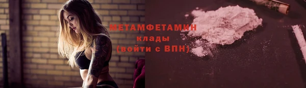 прущие грибы Володарск