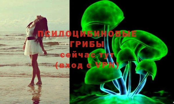 герыч Бронницы