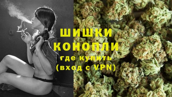 прущие грибы Володарск